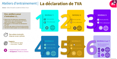Declaration-TVA.png